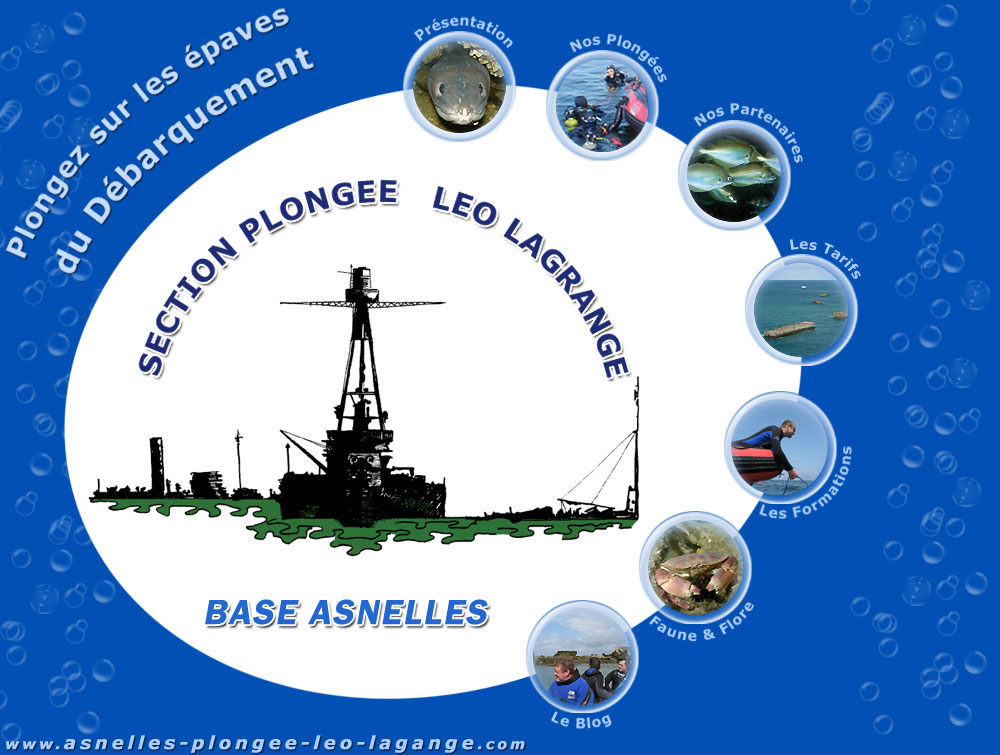 Cliquer pour entrer sur le site !!!